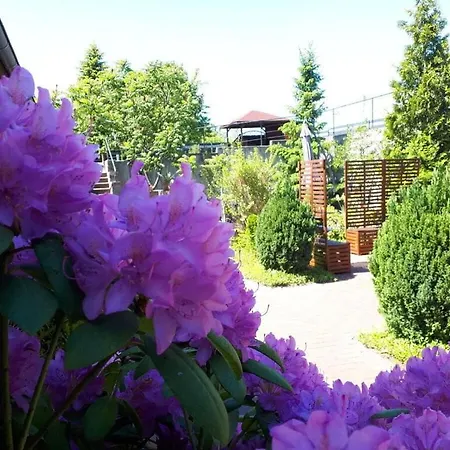 Eldeufer Comfortable