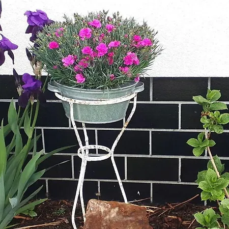 Hébergement de vacances Eldeufer Comfortable