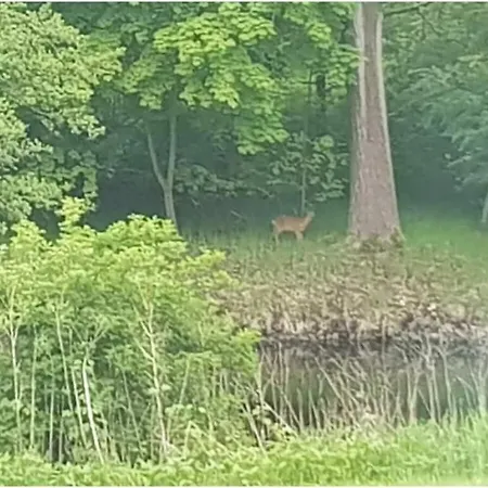 Hébergement de vacances Eldeufer Comfortable Plau am See