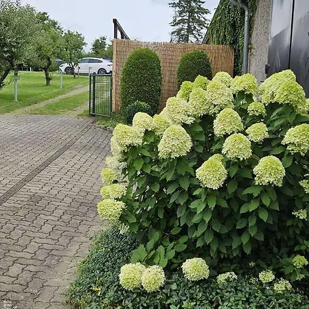 Hébergement de vacances Eldeufer Comfortable *