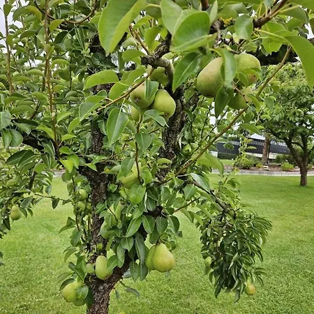 Eldeufer Comfortable